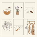 Como se livrar de insetos: 6 Dicas